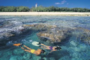 snorkellers on the reef around Lady Elliot Island