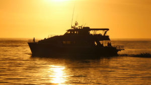 Private Cruise to Fraser Island with Tasman Venture Island Escapes Private Charters