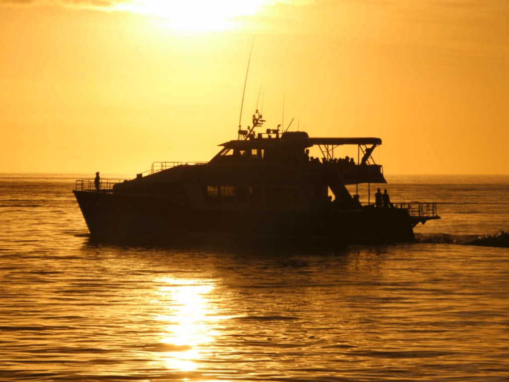Private Cruise to Fraser Island with Tasman Venture Island Escapes Private Charters